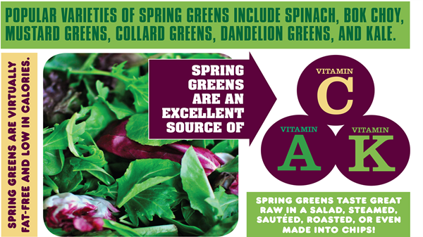 Salad Greens